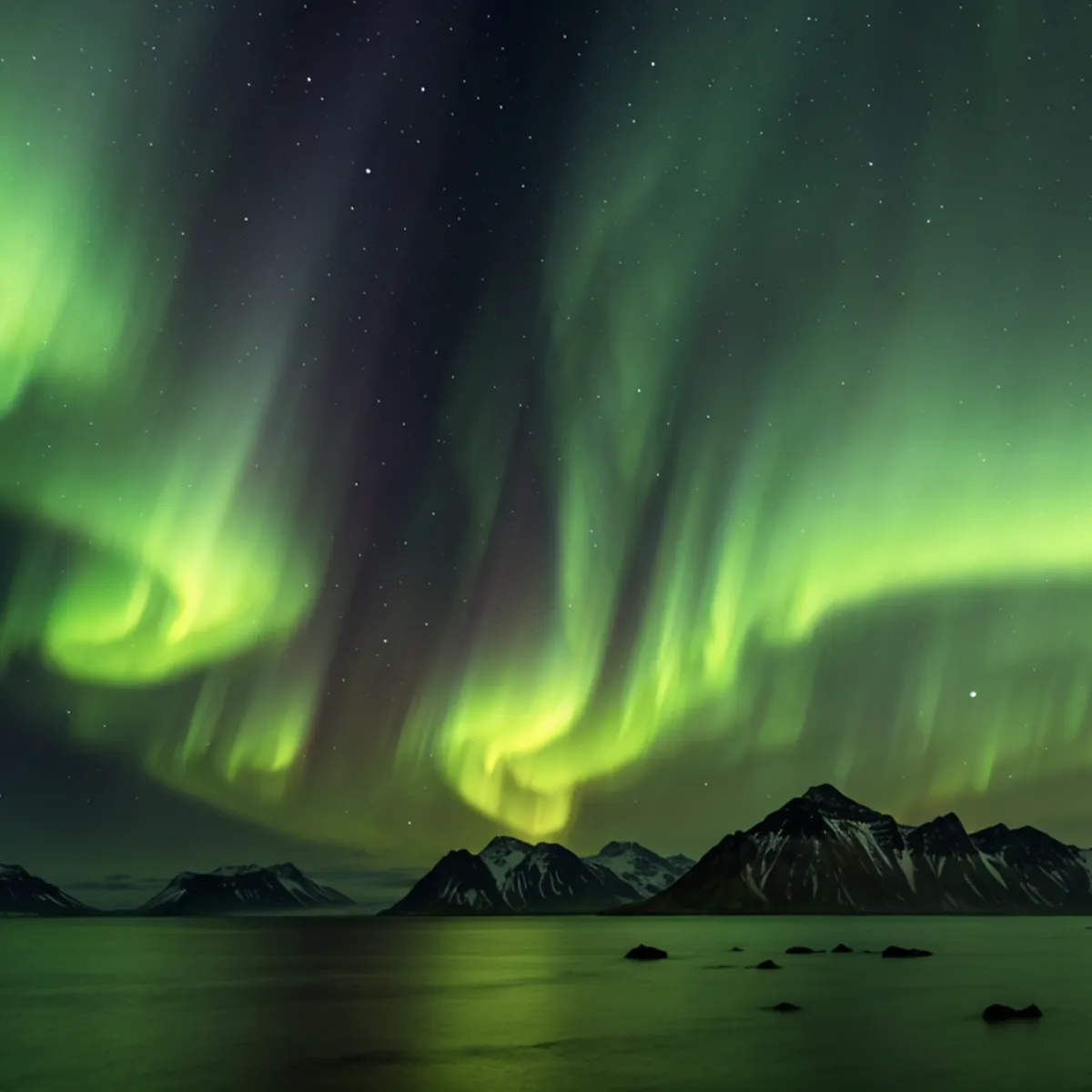 Northern Lights - Aurora Borealis at a Fjord in Norway